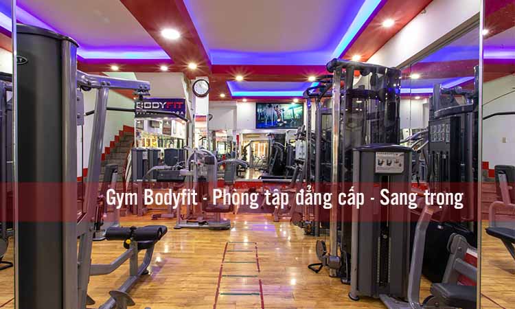 Giới thiệu về Bodyfit