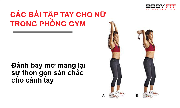 Các bài tập tay cho nữ trong phòng gym 