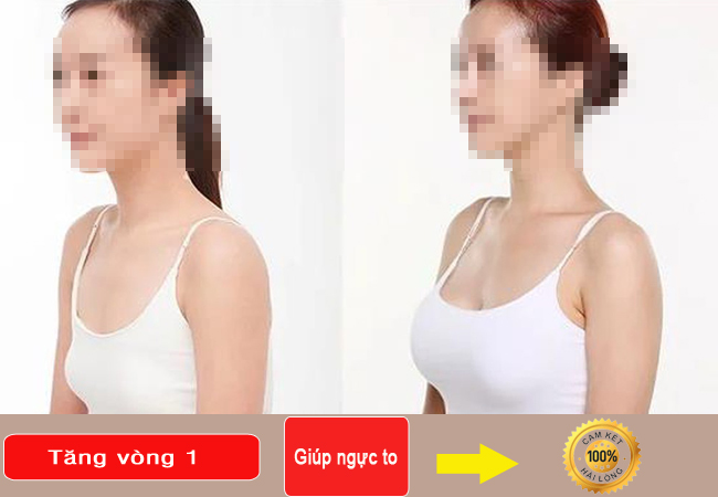 Gói tập tăng vòng 1 cho nữ